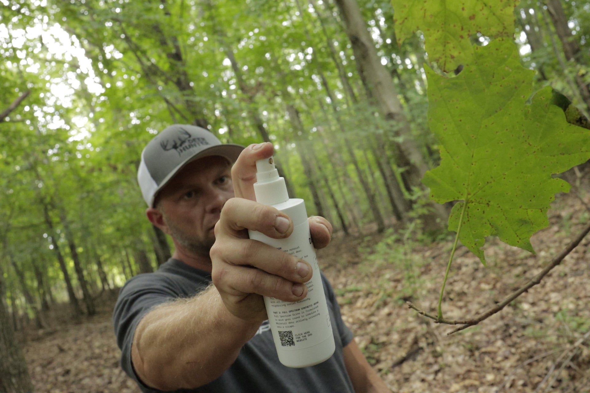 BCV-2 Mock Scrape Kit – Branch Catalyst + Synthetic Deer Urine - Deer Hunter Synthetics
